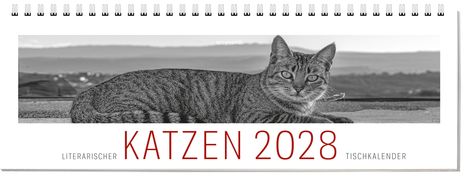 KATZEN 2028: Literarischer Tischkalender. Schwarz-weiße Katze liegt im Vordergrund, Berge im Hintergrund.