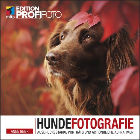 Anne Geier: Hundefotografie, Buch