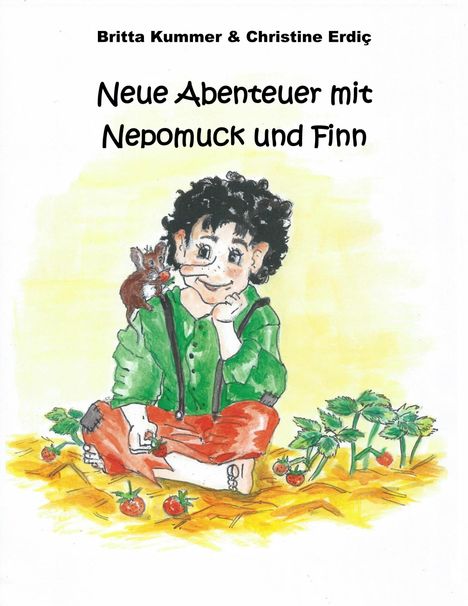 Britta Kummer: Neue Abenteuer mit Nepomuck und Finn, Buch