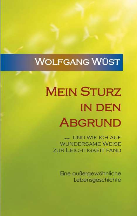 Wolfgang Wüst: Mein Sturz in den Abgrund, Buch