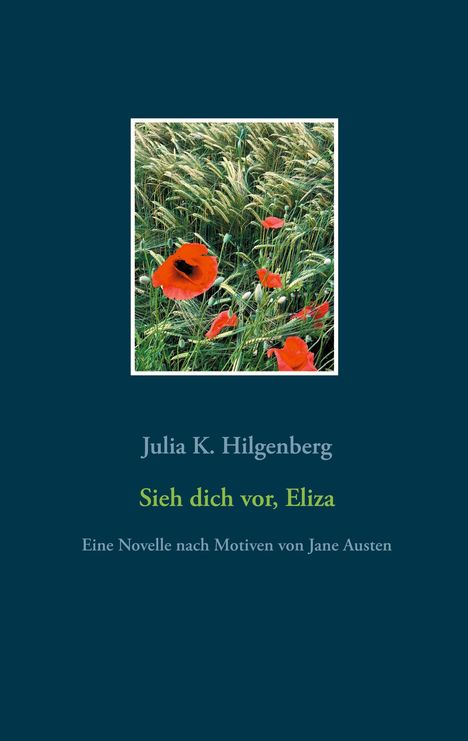 Julia K. Hilgenberg: Sieh dich vor, Eliza, Buch