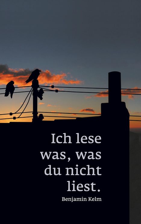 Benjamin Kelm: Ich lese was, was du nicht liest., Buch