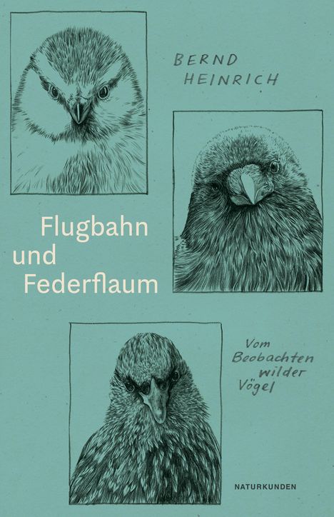 Bernd Heinrich: Flugbahn und Federflaum, Buch