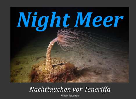 Martin Majewski: Night Meer, Buch