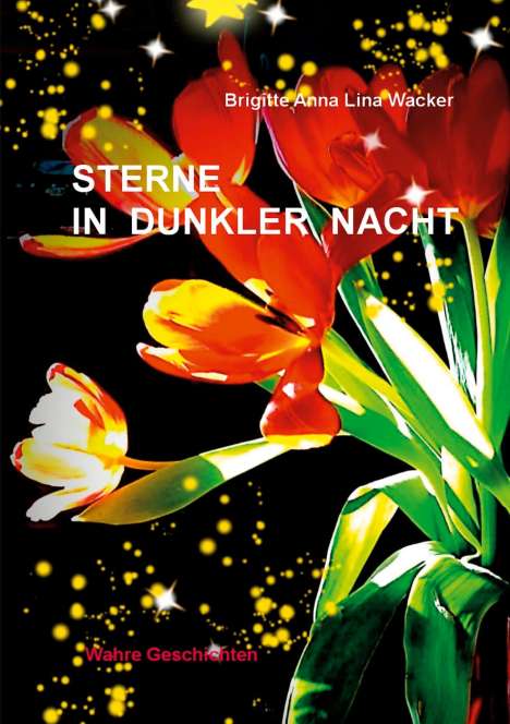 Brigitte Anna Lina Wacker: Sterne in dunkler Nacht, Buch