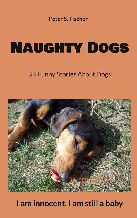 Peter S. Fischer: Naughty Dogs, Buch