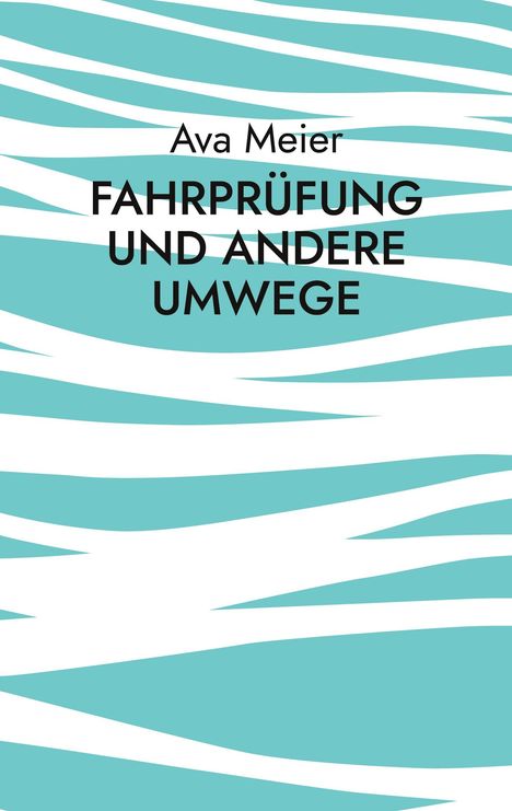 Ava Meier: Fahrprüfung und andere Umwege, Buch