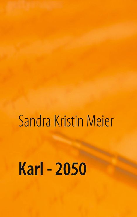 Sandra Kristin Meier: Karl - 2050, Buch