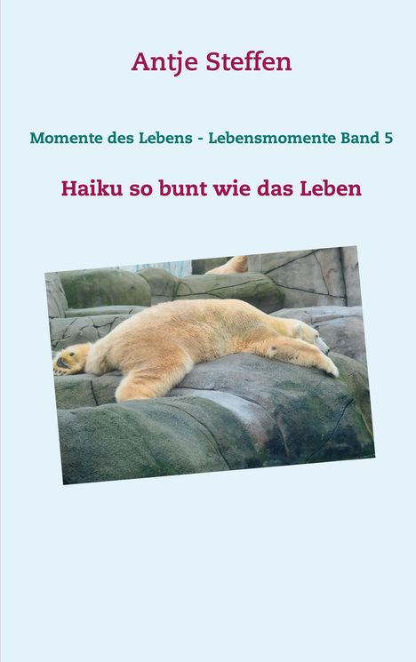 Antje Steffen: Steffen, A: Momente des Lebens - Lebensmomente Band 5, Buch