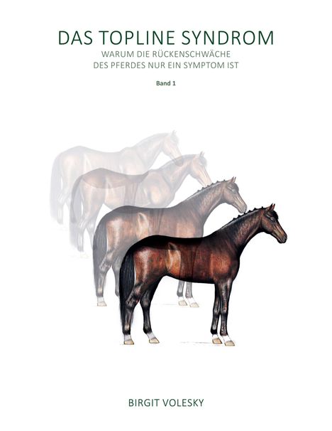 Birgit Volesky: Das Topline Syndrom, Buch