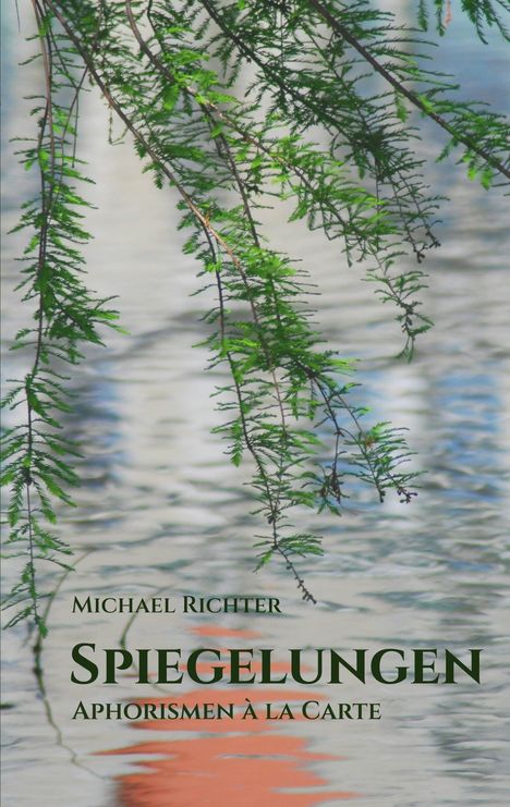 Michael Richter: Spiegelungen, Buch