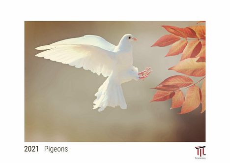 Pigeons 2021 - White Edition - Timocrates wall calendar with US holidays / picture calendar / photo calendar - DIN A4 (30 x 21 cm), Kalender