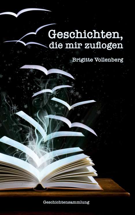 Brigitte Vollenberg: Geschichten, die mir zuflogen, Buch
