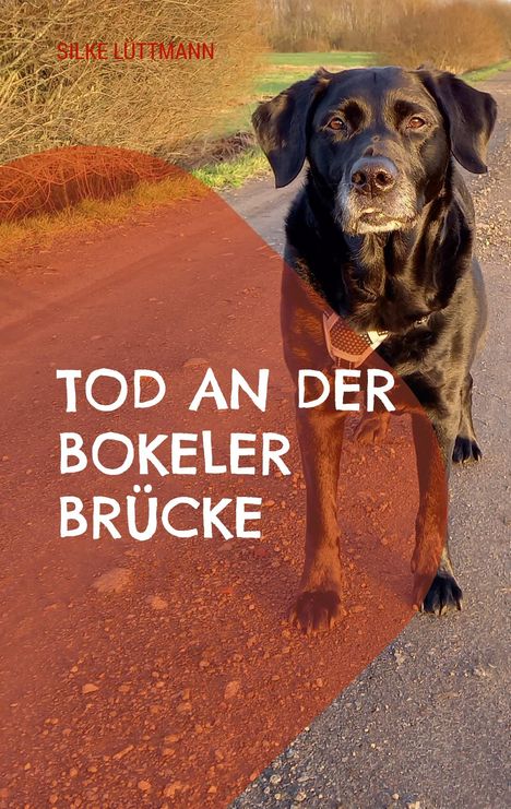 Silke Lüttmann: Tod an der Bokeler Brücke, Buch