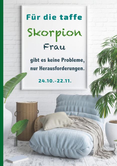 Silvia Kaufer: Für die taffe Skorpion Frau gibt es keine Probleme, nur Herausforderungen, Buch