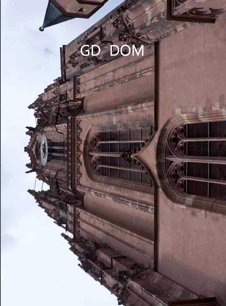 Gerald Domenig. GD DOM, Buch