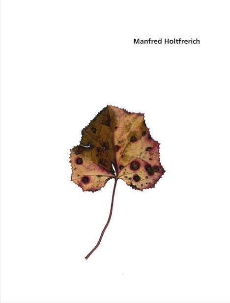 Manfred Holtfrerich. Blätter 237 - 342, Buch