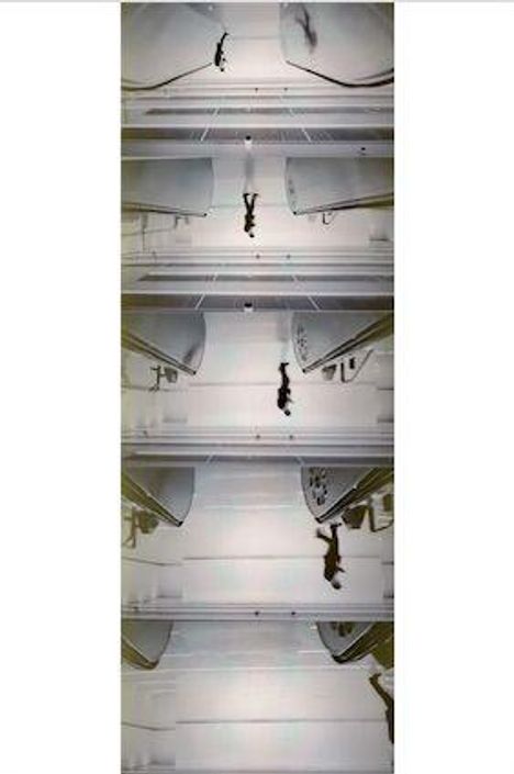 Keine sichtbaren Texte. Verzerrtes Bild in Streifen mit abstrakten Formen und vertikaler Symmetrie.