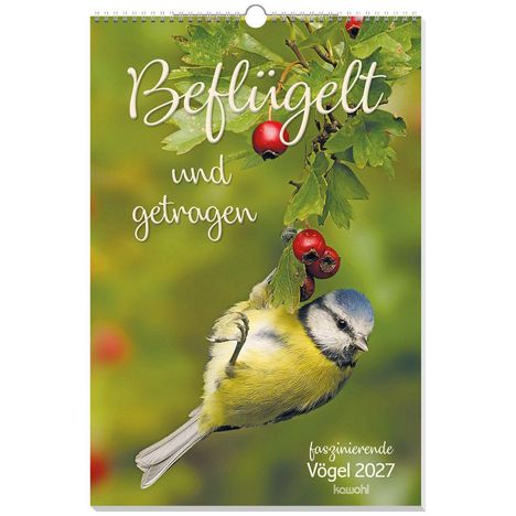 "Beflügelt und getragen, faszinierende Vögel 2027, kawohl." Ein kleiner Vogel hängt kopfüber an einem Zweig mit roten Beeren.