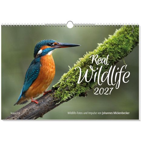 „Real Wildlife 2027“ und „Wildlife-Fotos und Impulse von Johannes Mickenbecker“. Eisvogel auf moosigem Ast.