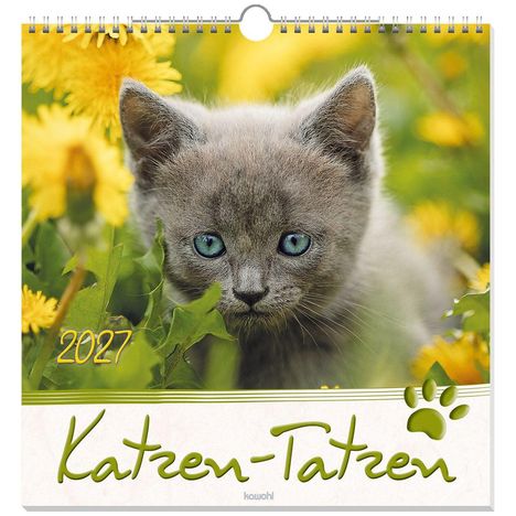 „2027“ und „Katzen-Tatzen“ stehen neben einem Kätzchen mit blauen Augen, umgeben von gelben Blumen.