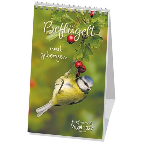 „Beflügelt und geborgen“, „faszinierende Vögel 2027“. Eine Blaumeise hängt kopfüber an einem Ast mit roten Beeren.