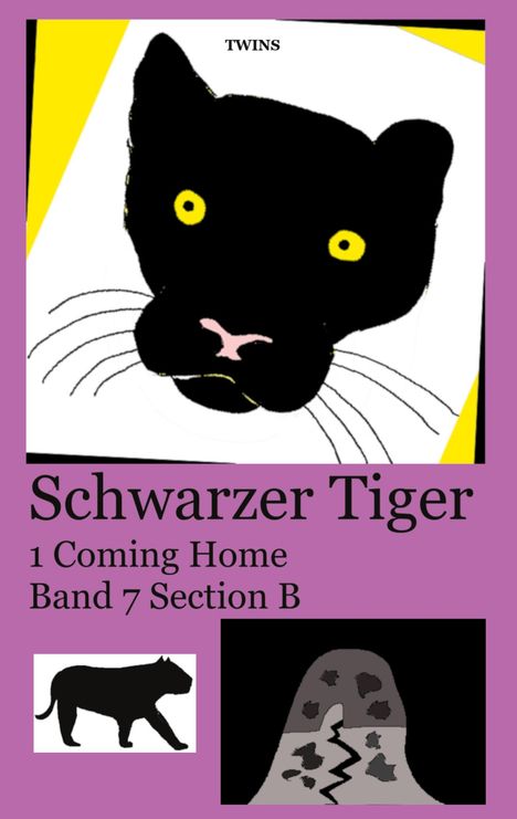 Twins: Schwarzer Tiger 1 Coming Home, Buch