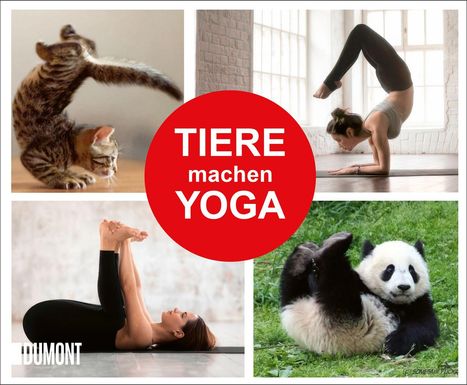 "Tiere machen Yoga" in rotem Kreis. Oben links Katze, oben rechts Frau, unten links Frau, unten rechts Panda auf Gras.