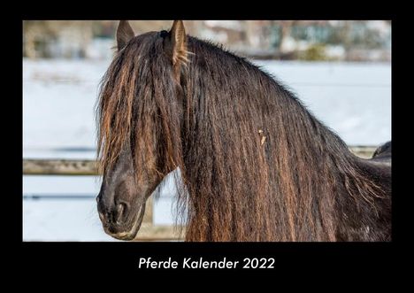 Tobias Becker: Pferde Kalender 2022 Fotokalender DIN A3, Kalender