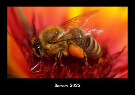 Tobias Becker: Bienen 2022 Fotokalender DIN A3, Kalender