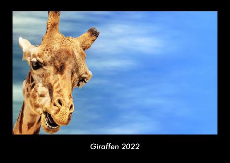 Tobias Becker: Giraffen 2022 Fotokalender DIN A3, Kalender
