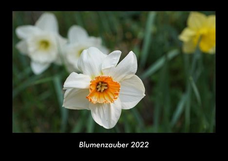 Tobias Becker: Blumenzauber 2022 Fotokalender DIN A3, Kalender