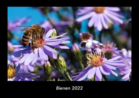 Tobias Becker: Bienen 2022 Fotokalender DIN A3, Kalender