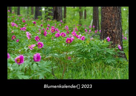 Tobias Becker: Blumenkalender 2023 Fotokalender DIN A3, Kalender