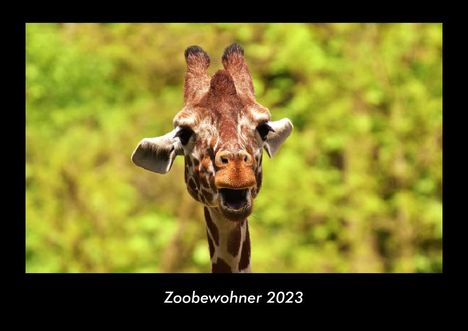 Tobias Becker: Zoobewohner 2023 Fotokalender DIN A3, Kalender