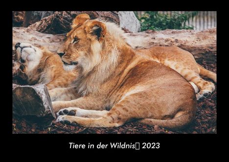 Tobias Becker: Tiere in der Wildnis 2023 Fotokalender DIN A3, Kalender