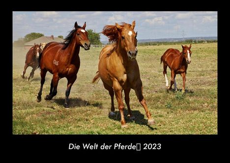 Tobias Becker: Die Welt der Pferde 2023 Fotokalender DIN A3, Kalender