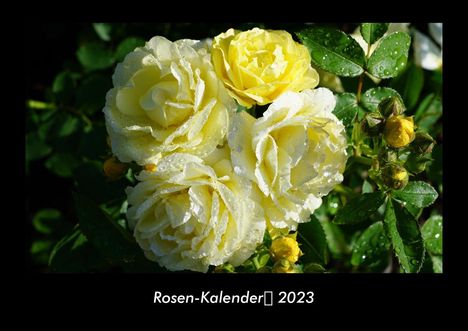 Tobias Becker: Rosen-Kalender 2023 Fotokalender DIN A3, Kalender