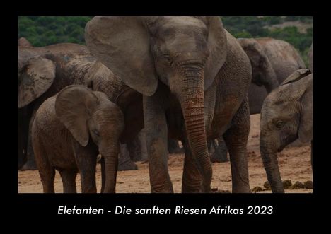 Tobias Becker: Elefanten - Die sanften Riesen Afrikas 2023 Fotokalender DIN A3, Kalender