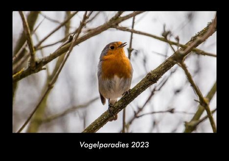Tobias Becker: Vogelparadies 2023 Fotokalender DIN A3, Kalender