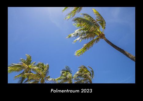 Tobias Becker: Palmentraum 2023 Fotokalender DIN A3, Kalender