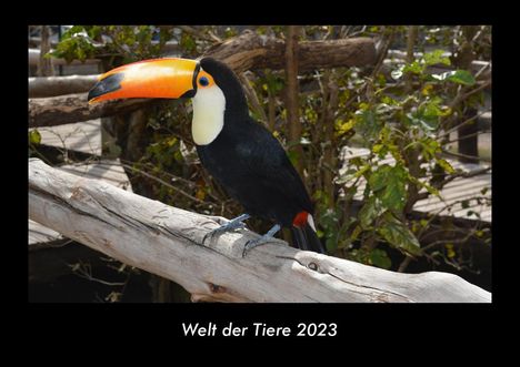 Tobias Becker: Welt der Tiere 2023 Fotokalender DIN A3, Kalender