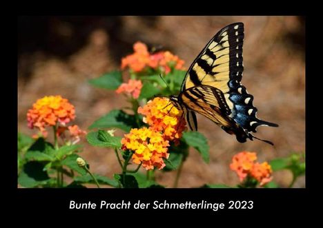 Tobias Becker: Bunte Pracht der Schmetterlinge 2023 Fotokalender DIN A3, Kalender