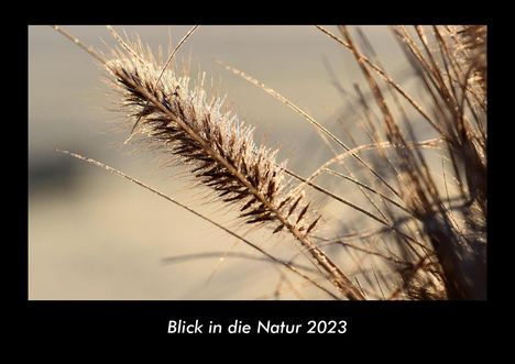 Tobias Becker: Blick in die Natur 2023 Fotokalender DIN A3, Kalender