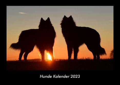 Tobias Becker: Hunde Kalender 2023 Fotokalender DIN A3, Kalender