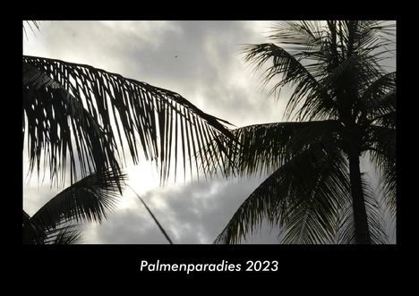 Tobias Becker: Palmenparadies 2023 Fotokalender DIN A3, Kalender