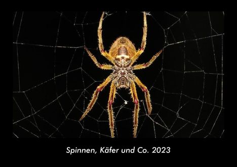 Tobias Becker: Spinnen, Käfer und Co. 2023 Fotokalender DIN A3, Kalender