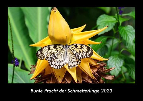 Tobias Becker: Bunte Pracht der Schmetterlinge 2023 Fotokalender DIN A3, Kalender