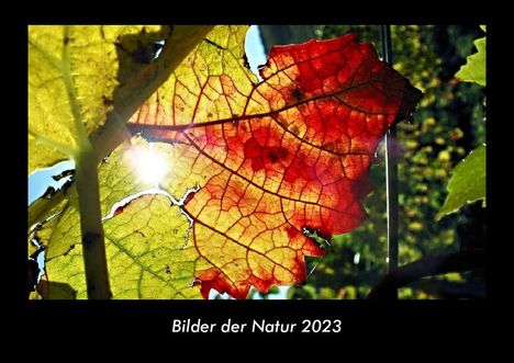 Tobias Becker: Bilder der Natur 2023 Fotokalender DIN A3, Kalender