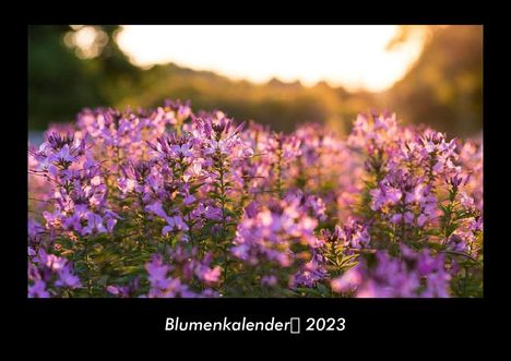 Tobias Becker: Blumenkalender 2023 Fotokalender DIN A3, Kalender